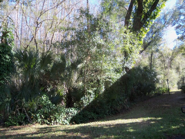 Foto del edificio - Pine Ridge at Lake Tarpon