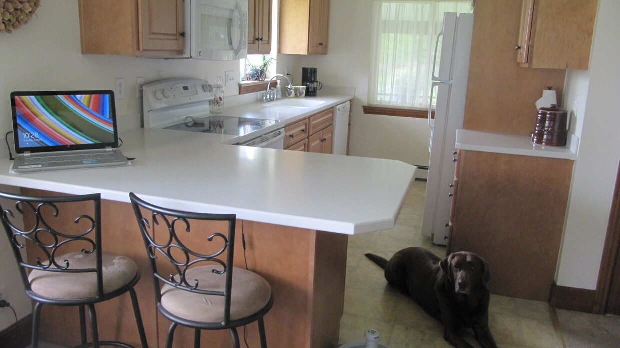 Foto principal - 905 Mt Zoar St