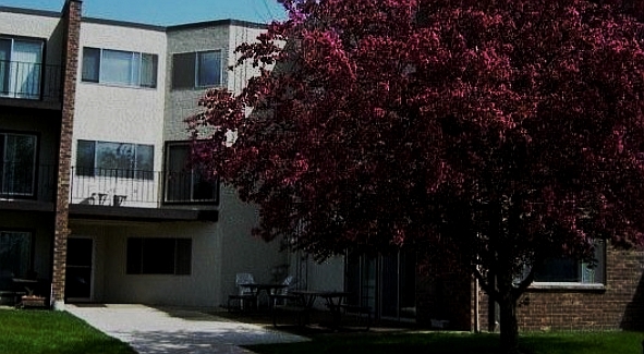 Primary Photo - Blackduck Apartments