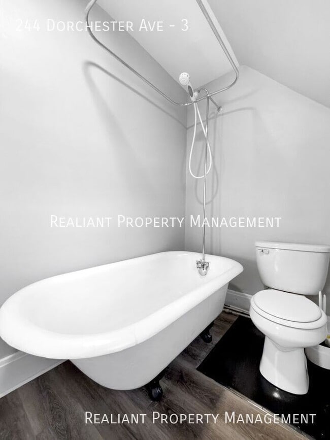 Building Photo - 244 Dorchester Ave