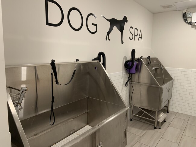 Dog Spa - 782 Riverfront Pkwy