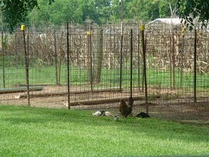 Building Photo - 2445 Precinct Line Rd