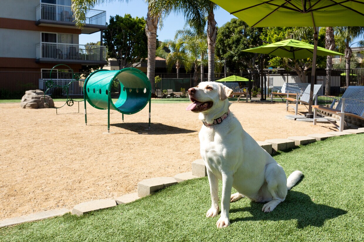 eaves Seal Beach Apartments in Seal Beach, CA Westside Rentals