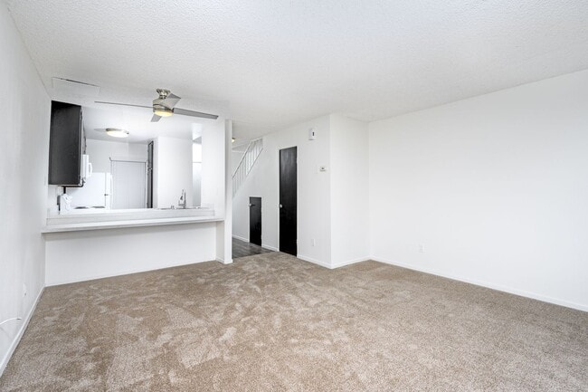 Interior Photo - Antone Apartments