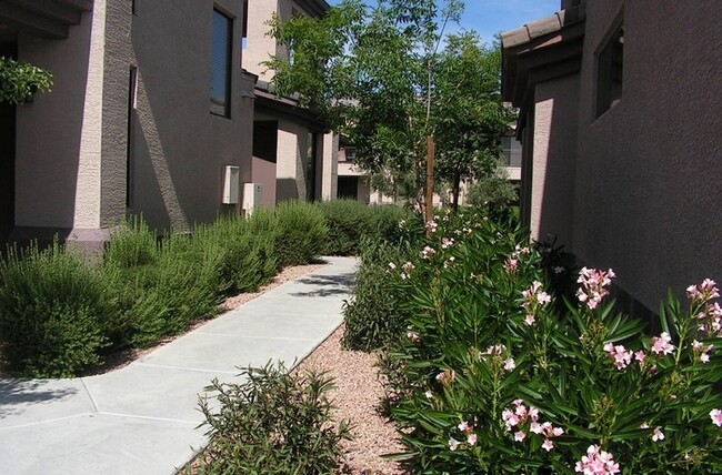 Building Photo - 705 W Queen Creek Rd