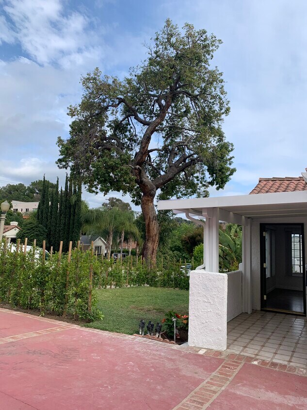Bienvenido a esta hermosa casa unifamiliar luminosa, limpia y renovada de 3 habitaciones y 2 baños en Glen - 729 Glenmore Blvd