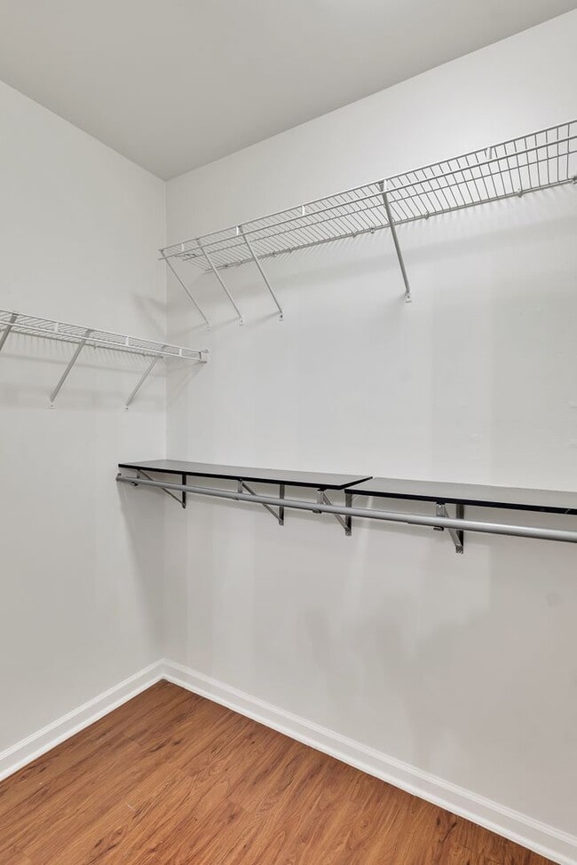 Interior Photo - Steeplechase At Malta