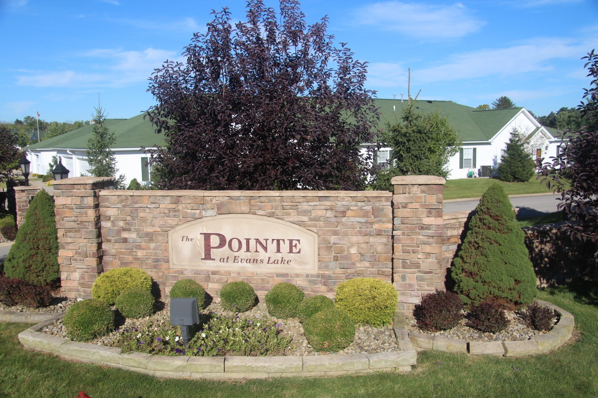 Pointe At Evans Lake – photo 5