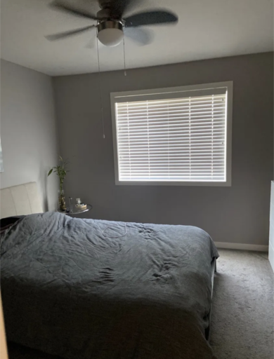 Building Photo - 25 Tim Sale Dr