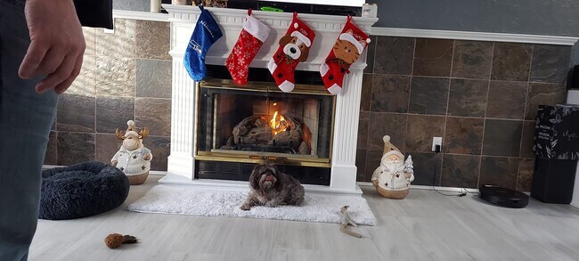 Foto del edificio - 24028 25th Ave S