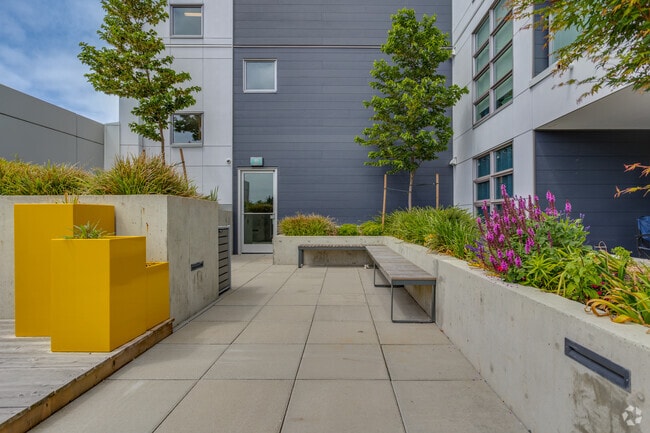 2nd Floor Amenity Space - The Shelley - Student Rental