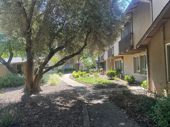 Building Photo - Updated 3 Bedroom 2 Bathroom Townhome with...