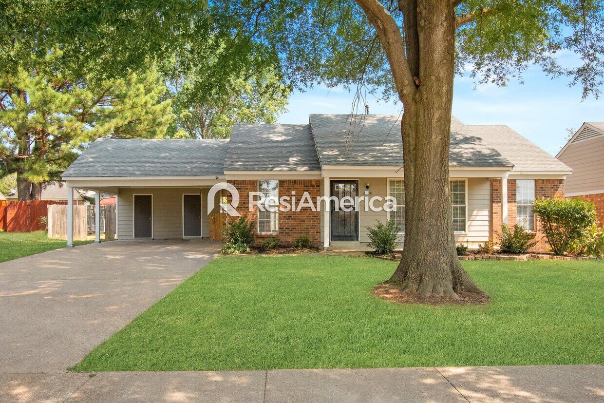 Primary Photo - Classic Styling in Horn Lake with great cu...