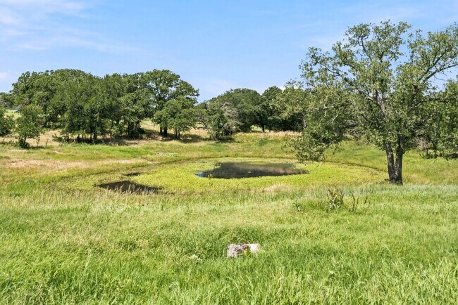 Building Photo - Country Home with Pond, Horse Pens & Optional Additional Pasture