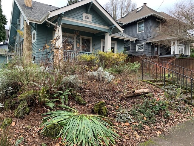 Native planted yard - 2814 SE Yamhill St