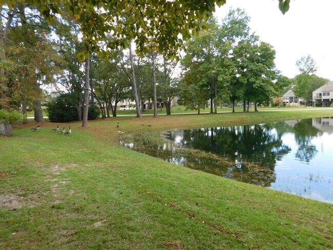 Foto del edificio - 1201 Harbourside Dr