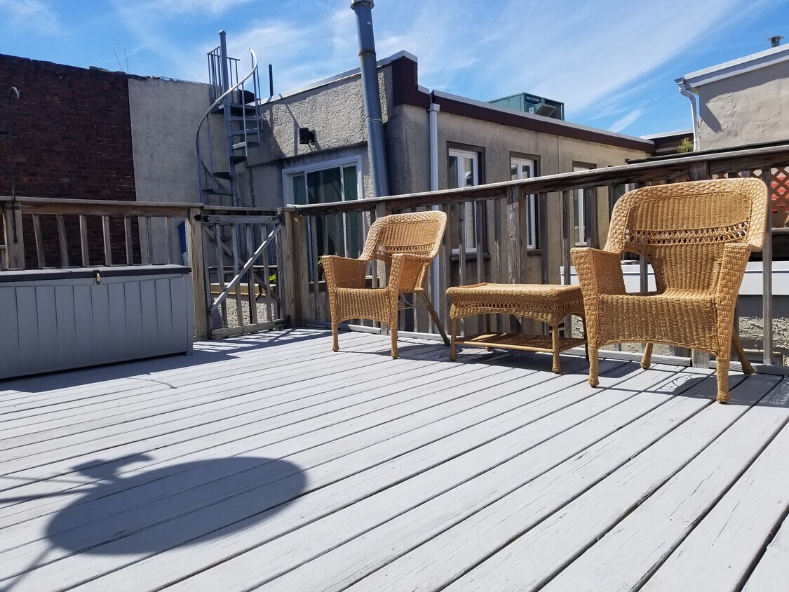 roof deck - 1302 S Fairhill St