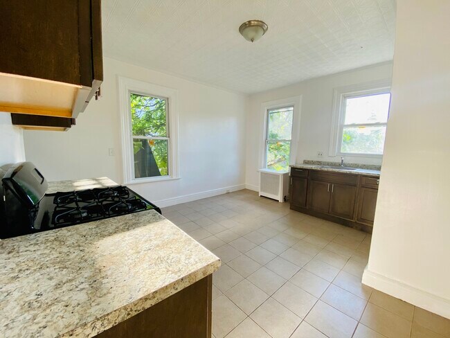 Huge dine in / sit in kitchen with lots of light - 84 Peabody Pl