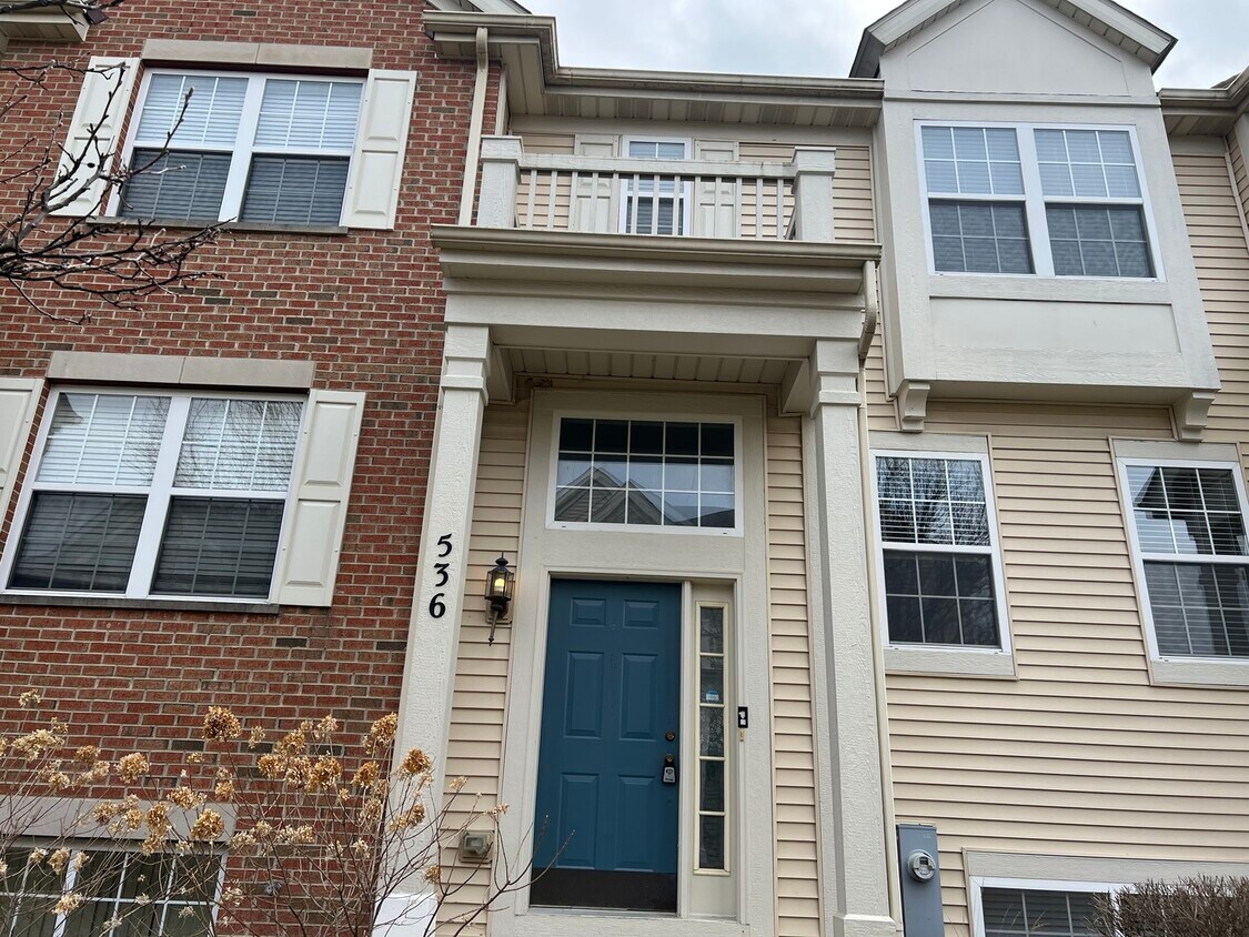 536 Lincoln Station Dr, Oswego, IL 60543 Townhome Rentals in Oswego