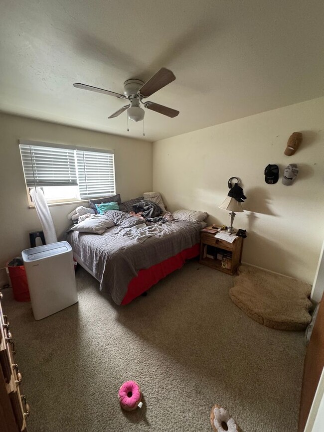 Building Photo - Updated 3-bedroom 1 bathroom in Littleton!