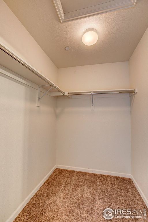 master closet - 4815 Hahns Peak Dr