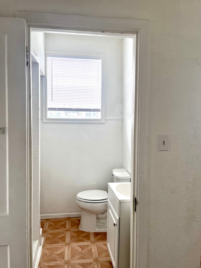 Foto del edificio - White Street Apartments on Campus Corner