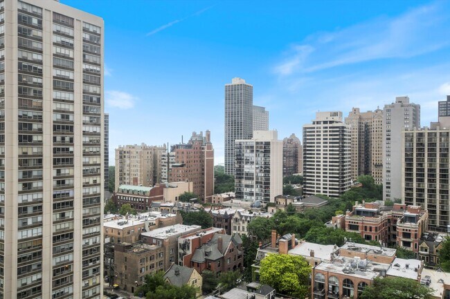 Foto del edificio - 1455 N Sandburg Terrace