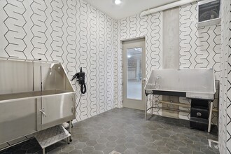 Pet Wash - The Whitney