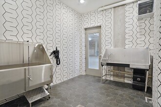 Pet Wash - The Whitney