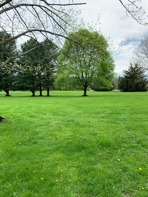 Foto del edificio - 1049 Danby Rd