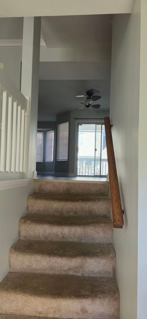 Building Photo - 3122 Cambria Ct