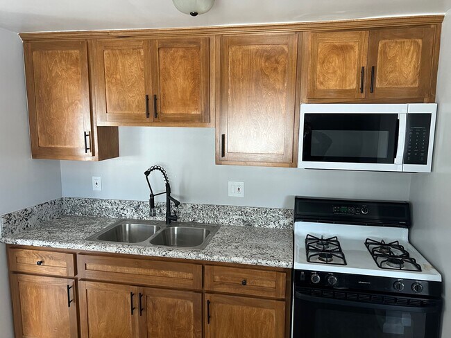 New Cabinets and countertop in the kitchen. - 1610 W 168th St