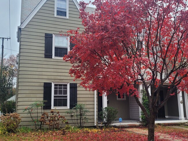 Building Photo - 217 Palen Avenue