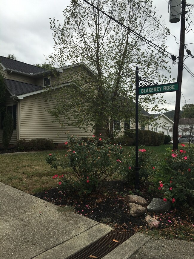Building Photo - Immaculate 3 Bedroom Townhome in Huntington/Barboursville Area
