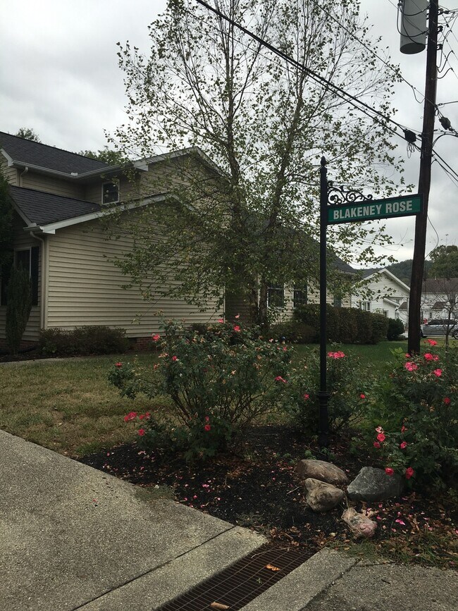 Foto del edificio - Immaculate 3 Bedroom Townhome in Huntington/Barboursville Area
