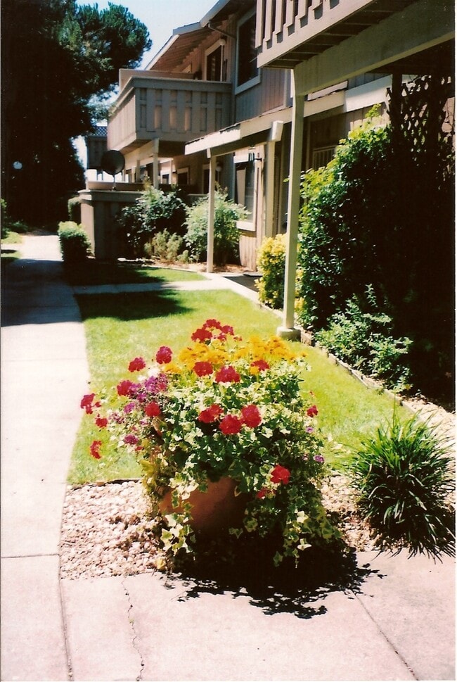 Building Photo - 2124 Santa Ana Dr