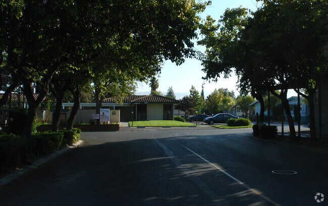 Primary Photo - Sunshadow