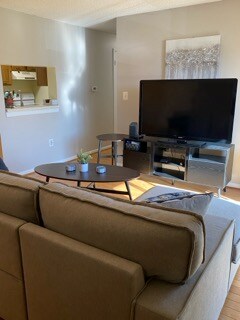 New sleeper couch - 1012 Ravens Crest Dr