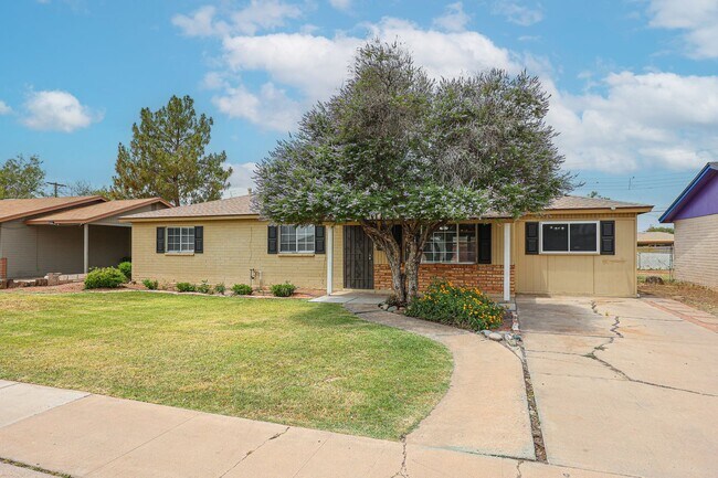 Foto del edificio - Charming Tempe 4Bedroom5 PLUS/3Bathroom Ho...
