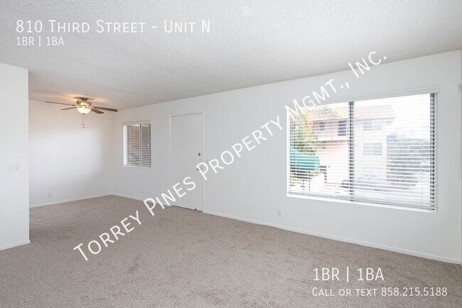 Building Photo - 1 Bedroom in Amazing Beach Location with O...