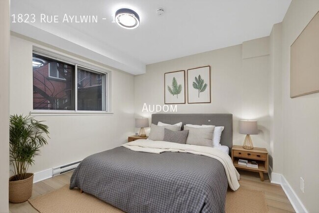 Building Photo - 1823 Rue Aylwin