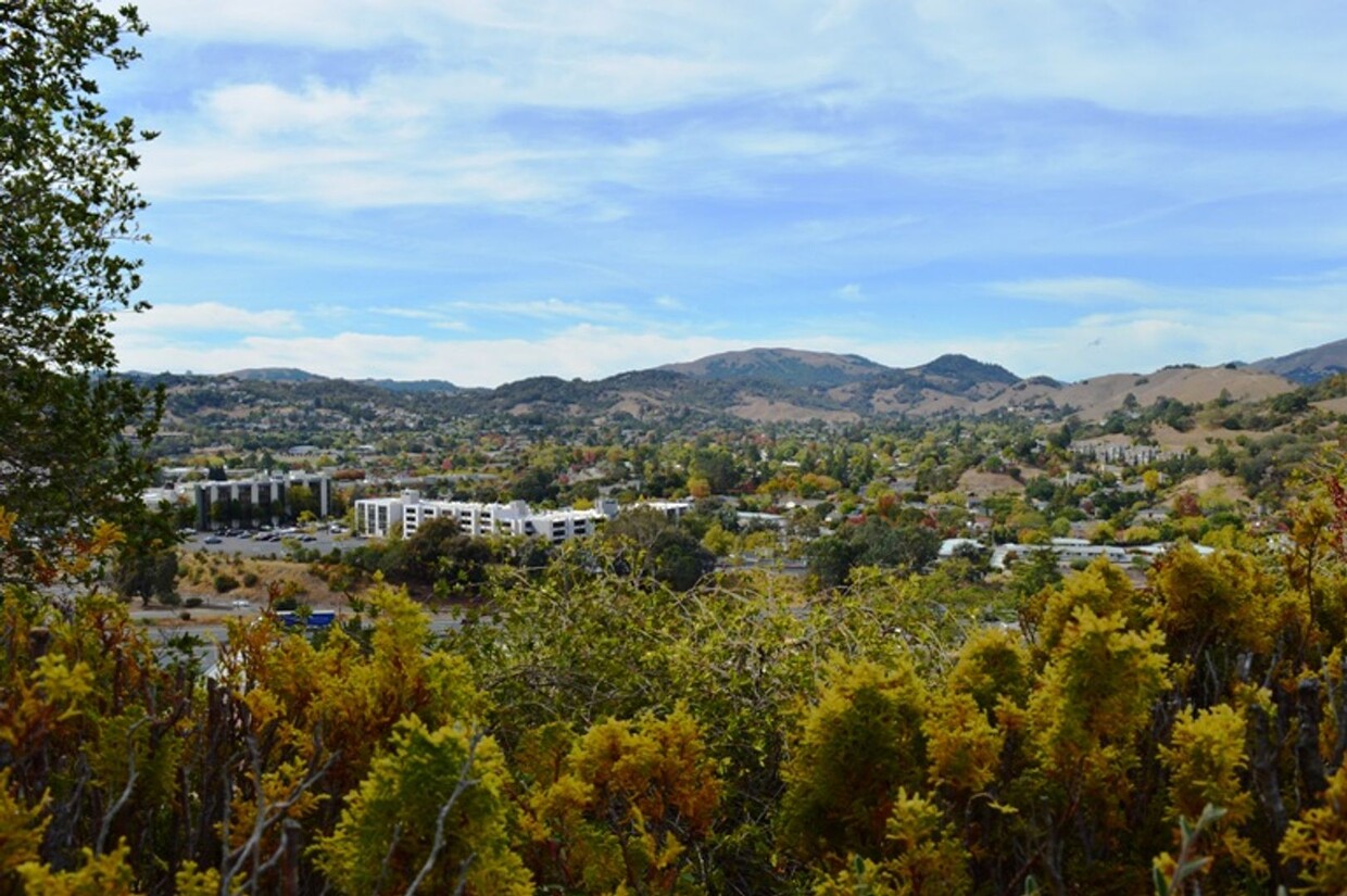 Foto principal - Updated Two Bedroom Condo with Views of th...