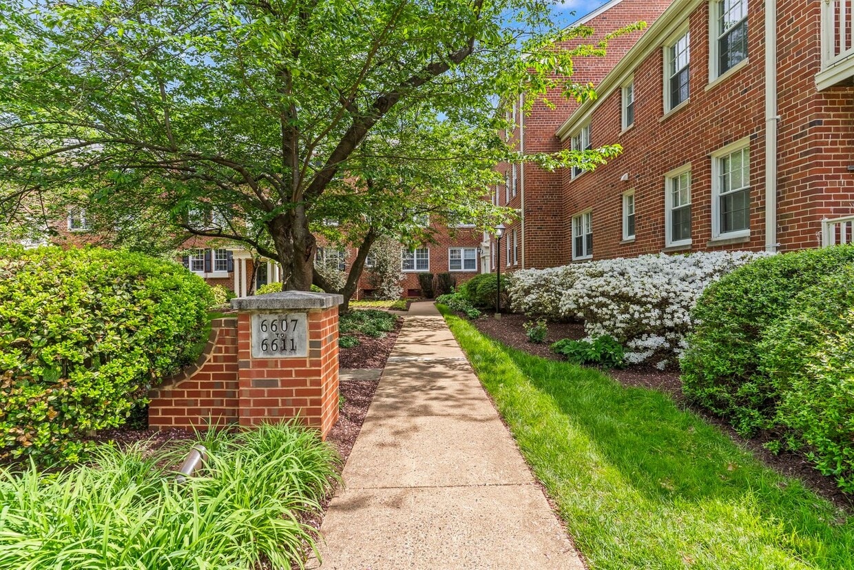 Cozy & Updated Condo in Prime Alexandria Location - Cozy & Updated Condo in Prime Alexandria Location