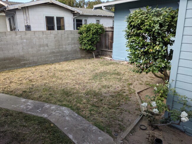 yard - 1313 Portola Ave