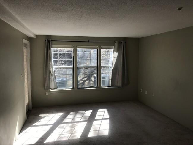 Living/Dining Area - 36 Walden Dr