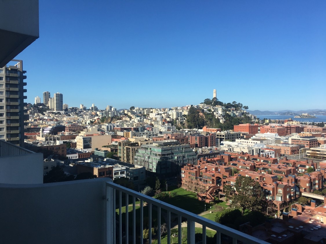 Coit Tower View from studio - 440 Davis Ct