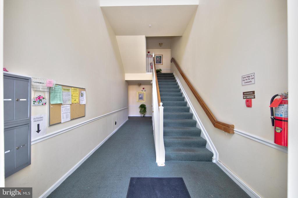 Primary Photo - 1309 Sheridan Pl