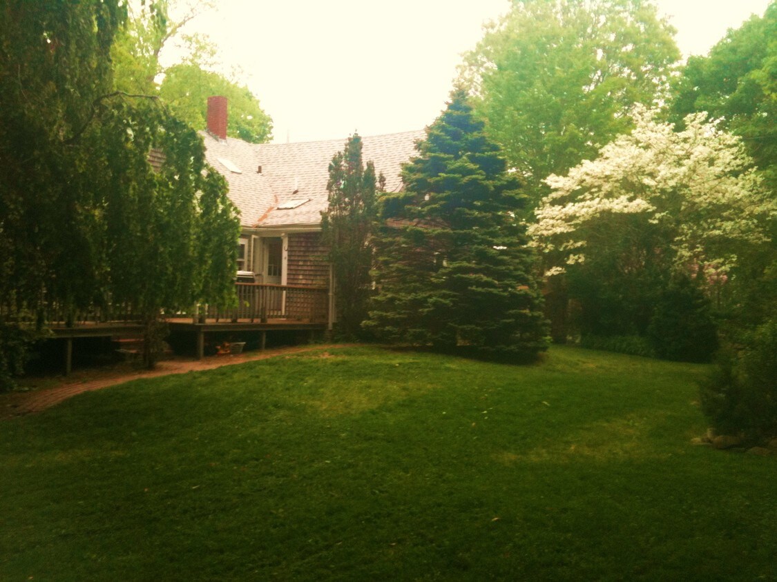 Rear yard - 10 Factory St