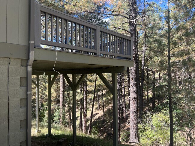 Foto del edificio - 2777 Burro Springs Ovi