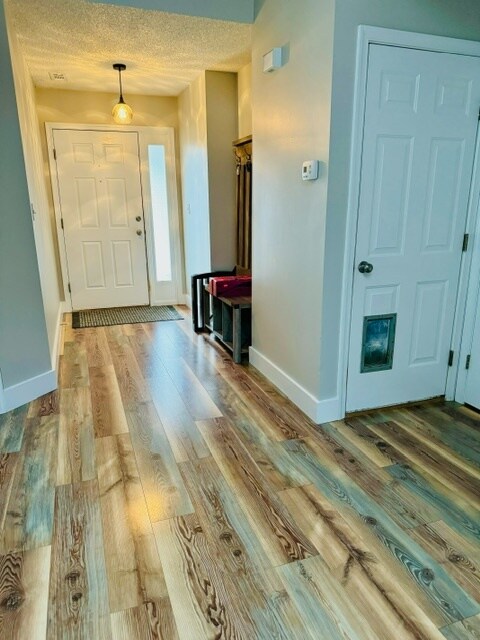 Foto del edificio - 49 Southchase Dr